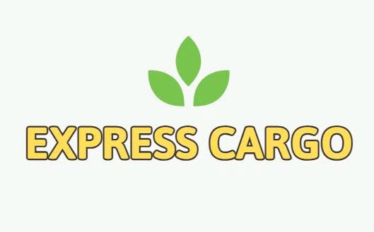 expresscargo.airschottinc.com